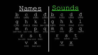 Vietnamese  Consonants Single [upl. by Eimmelc]