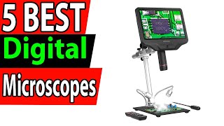 5 Best Digital Microscopes Review 2024 [upl. by Ehsom]