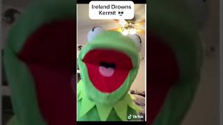 Kermit Inturupts Ireland While Shes Lovestruck SWEAR WARNING talon foryou shorts [upl. by Maura]