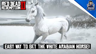 How to Get the White Arabian Horse in Red Dead Redemption 2 [upl. by Shurlock]