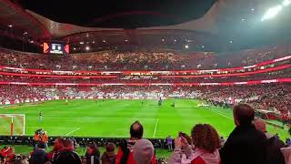 Estádio da Luz com nova iluminação 🏟️😍🔴⚪️SLBenfica Luz [upl. by Barhos]