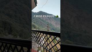 My Pangot Trip pangot uttarakhand amoha shortsvideo shortsvideo [upl. by Ahsiel]