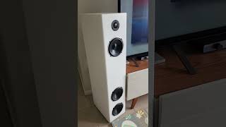 DIY Speakers Altavoces de suelo [upl. by Varney]