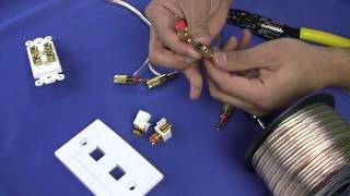 How To Install Banana Plugs and Banana Plug Wall Plates  CableWholesale [upl. by Ariela]