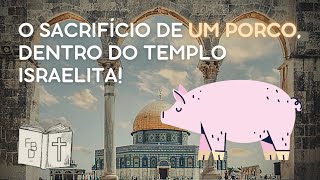 Antioco IV Aquele que sacrificou um porco dentro do templo Israelita😨 Fatos Bíblicos Desconhecidos [upl. by Koppel]