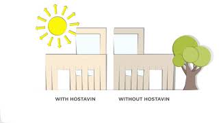 Hostavin® – light stabilizer dispersions for waterborne coatings [upl. by Forsyth]