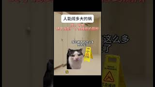 人能闯多大祸 节目效果请勿当真猫meme 猫meme小剧场 喵不可言 cat shorts 闯祸 [upl. by Gherardo]