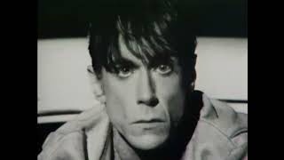 Iggy Pop  Real Wild Child Wild One Official Video Full HD Digitally Remastered and Upscaled [upl. by Jarlen]