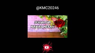 Sekuntum mawar merah karaokecover [upl. by Htor]