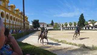 Jerez de la Frontera Spain  Andalusian Horse show museum beautiful grounds [upl. by Nairda746]