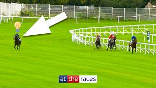 The most GENIUS moments from jockeys in horse racing 🤯 [upl. by Yeblehs427]