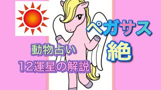 動物占いのキャラクターを徹底的に解説【ペガサス】の行動パータン [upl. by Harwilll]