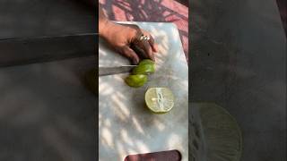 Juicy Sweet Lime harvesting and cutting from my garden🍋 shorts viralshorts sweetlemon sweetlime [upl. by Raynold]