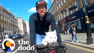 Deaf Cat Loves Riding Around London With Her Dad  The Dodo Cat Crazy [upl. by Shipley]