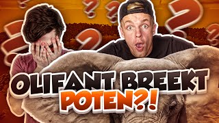 OLIFANT BREEKT POTEN  Minecraft Survival 34 [upl. by Abey]