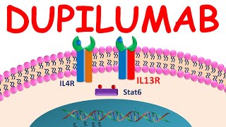 Dupixent Dupilumab injection for Eczema  Everything You should Know [upl. by Ynoble377]