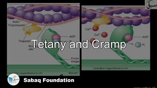 Tetany Cramp Biology Lecture  Sabaqpk [upl. by Cynara]