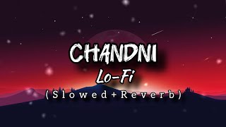 Chandni LoFi SlowedReverblofislowedreverblofisadsongsslowedrewerbsonglove [upl. by Assirim]