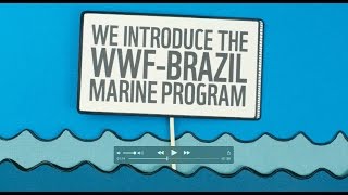 WWFBrazil Marine Programme [upl. by Lashondra]