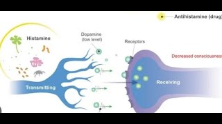 약국에서써본세번째약이야기박정완antihistamineallergy진정작용항콜린성액티피드콧물2세대 보나링주의력떨어짐유시락스piperazine가려움증항구토제 [upl. by Noryb174]