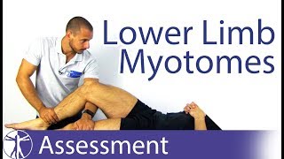 Myotomes Lower Limb  Peripheral Neurological Examination [upl. by Abe]