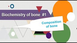 Biochemistry of bone Composition of bone Biochemistry [upl. by Henson]