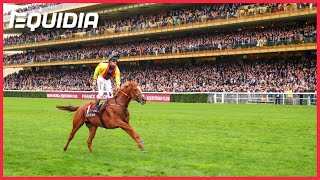 TORQUATOR TASSO EN QUÊTE DUN DOUBLÉ DANS LE PRIX DE LARC DE TRIOMPHE [upl. by Jit]