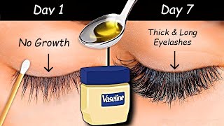 Use Vaseline to Grow Long eyelashes amp Thick eyebrows from First WEEK  Thick Eyelash Growth Serum [upl. by Ariamoy]