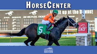 Tampa Bay Derby and Hillsborough Stakes top picks on HorseCenter [upl. by Barbarese]