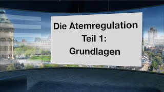 Wie funktioniert die Atemregulation Welche Rolle spielen CO2 O2 Muskeln Gefühle und Gedanken [upl. by Madeleine]