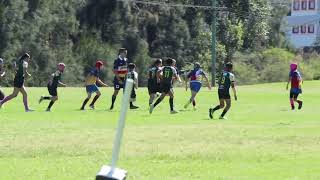 2024 U11A Plate Final  Western Raptors v Harbord Harlequins [upl. by Guendolen284]