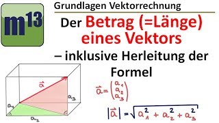 Betrag die Länge eines Vektors bestimmen inklusive Herleitung der Formel [upl. by Larianna]