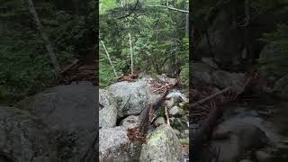 Katahdin Stream Appalachian Trail thru Hike 2024 shorts hiking appalachianmountains [upl. by Muscolo278]