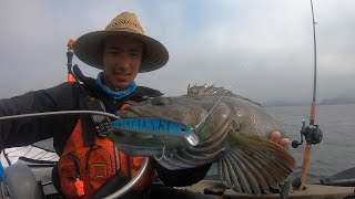 SALTWATER JERKBAIT Fishing Multispecies Calissa Challenge [upl. by Aglo570]