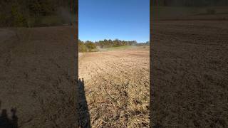 2024 Soybeans Harvest video coming soon [upl. by Yenreit849]