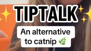 Tip Talk  Catnip Alternatives [upl. by Llertniuq294]