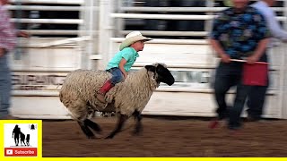 Mutton Bustin 🦙 2021 Saints Roost Ranch Rodeo  Saturday [upl. by Bove]