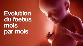 GROSSESSE  L’évolution du foetus mois par mois [upl. by Noraha]