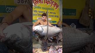 Katla fish cutting Katla fish cutting skillsKatla fish cutting KolkataCalifornia fish grill [upl. by Llehcnom]