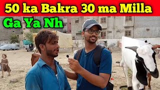 Karachi Bakra mandi 2023  40000 hazare Wala Bakra 31300 ma kharid leya  Bakra ka price in karachi [upl. by Roselia]