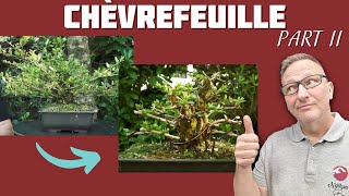 CHÈVREFEUILLE SHOHÏN EN BONSAÏ  TAILLE DES STRUCTURES  Épisode 2  🌱 NEJIKAN BONSAI 🌱 [upl. by Romito]