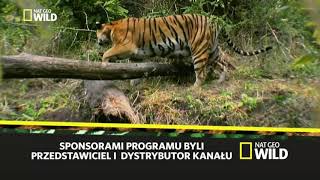 Polsat Sport  Zakończenie programu przerwa techniczna 1112012018r [upl. by Ititrefen963]