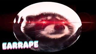 🦝SATURADO Pedro Pedro Pedro  Meme Earrape  Mapache de Tiktok [upl. by Sivrup]