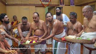 Chaturmasya Vratam 2017  Glimpse of Events [upl. by Hynes]