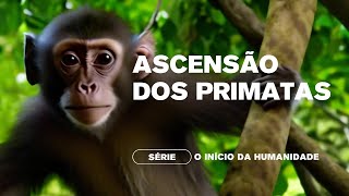 Ascensão dos Primatas  Episódio 5 da Série O Inicio da Humanidade [upl. by Jessey]