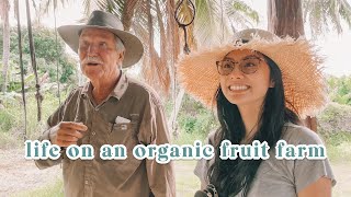 From Doctor to Farmer  Hawaii Vlog [upl. by Amron]