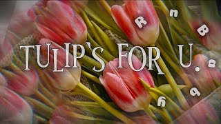 RnBaby  Tulip’s for u Lyrics video [upl. by Airemahs]