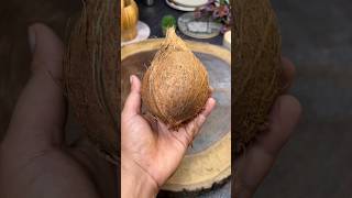 Coconut ğŸ¥¥ Milk Recipe ğŸ˜‹ coconut coconutmilk coconutmilkshake nariyal milk doodh drink food [upl. by Aimaj101]