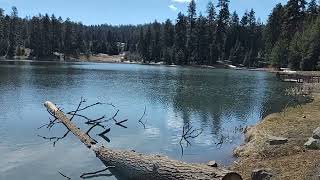 WALTON LAKE OCHOCO NATIONAL FOREST OR [upl. by Uliram470]