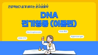 A03 DNA 전기영동Electrophoresis 관련 이론 총집합 [upl. by Almat68]